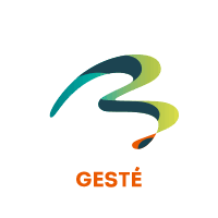 Gesté couvreur